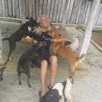 Jayne surrounded by rescue dogs volunteering in Sri Lanka