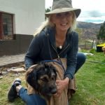 Dog rescue Peru