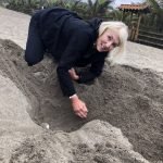 Turtle conservation Ecuador