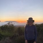 Volcanos Isabela