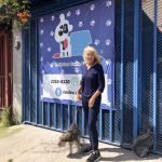 Dog shelter San Jose