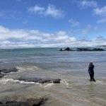 Isabela beach